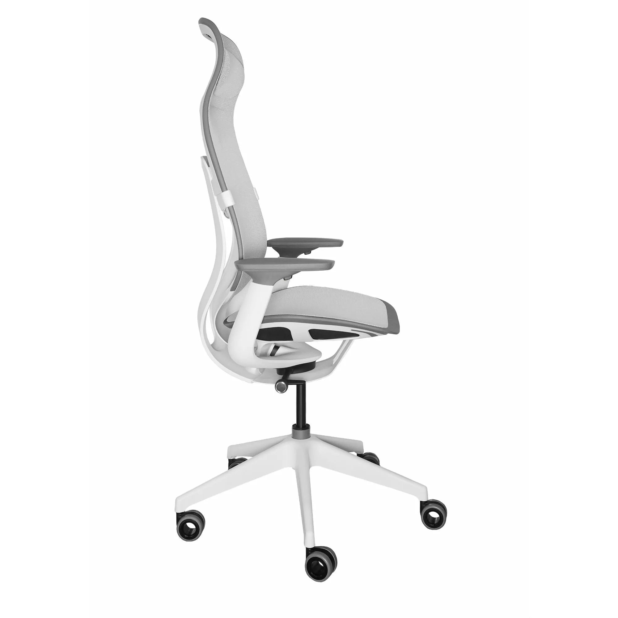 Seagull / Intermix Opaque Seagull / Seagull