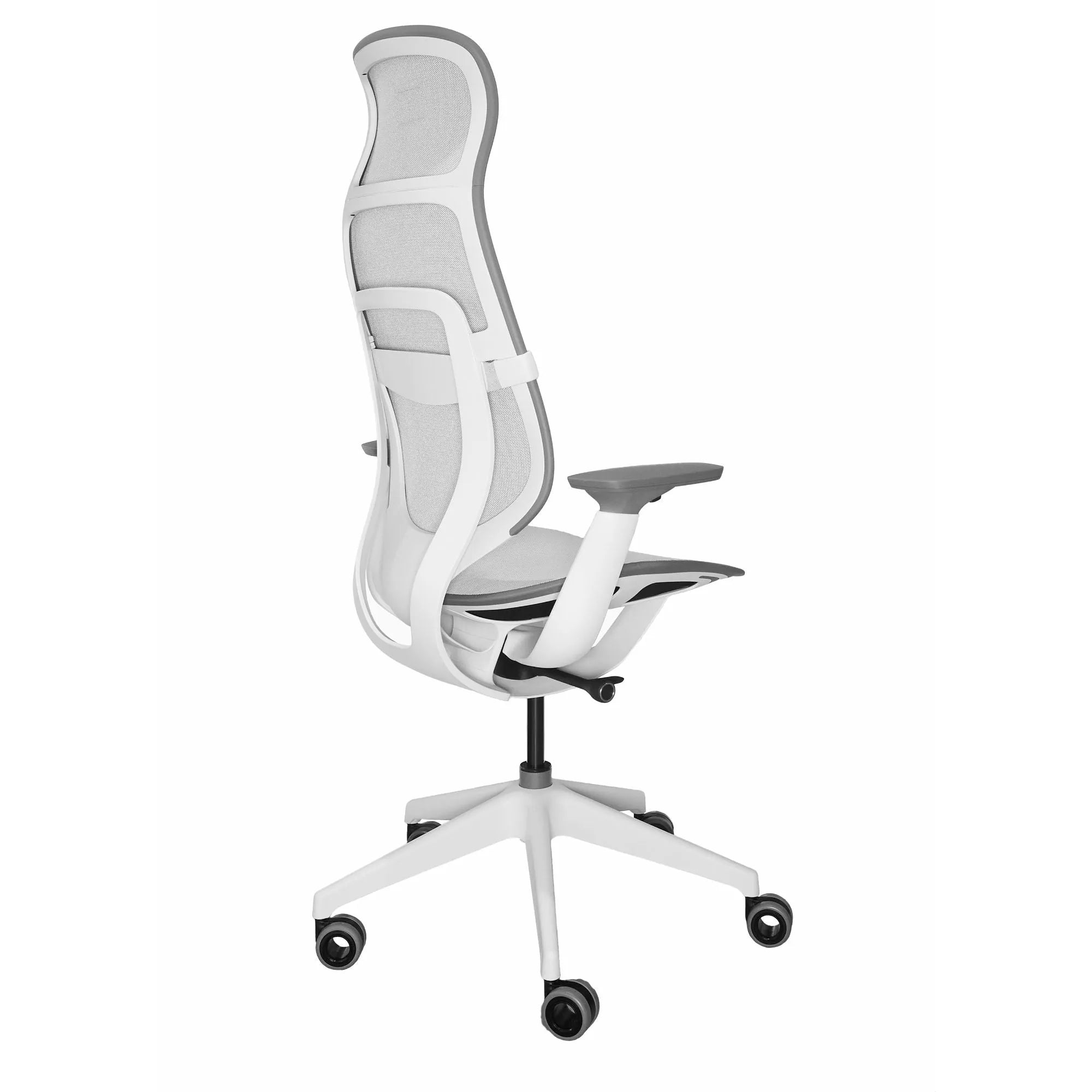 Seagull / Intermix Opaque Seagull / Seagull