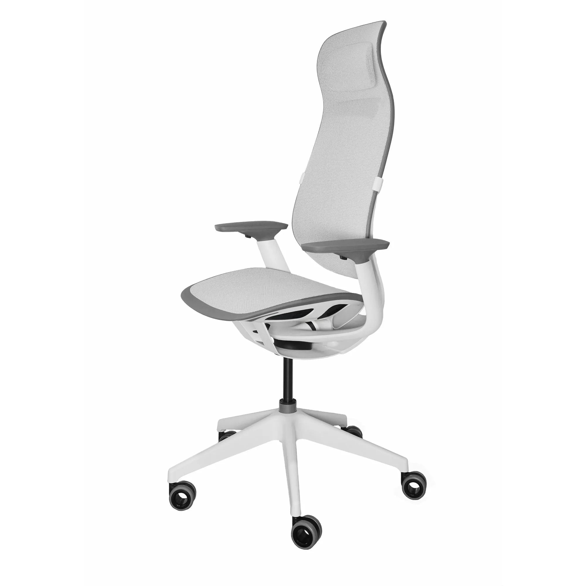 Seagull / Intermix Opaque Seagull / Seagull