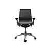 Platinum Metallic Monochromatic/ Graphite/ Platinum Back Support