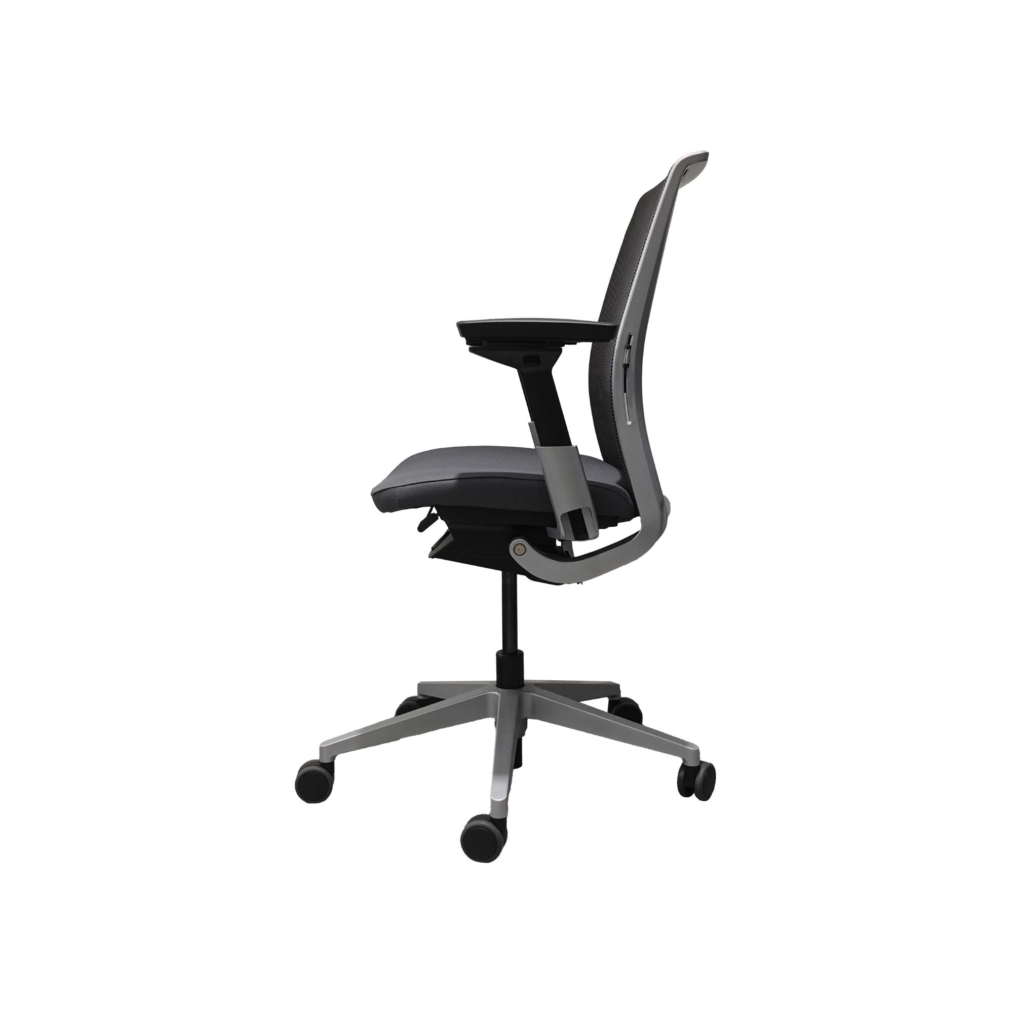 Platinum Metallic Monochromatic/ Graphite/ Platinum Back Support