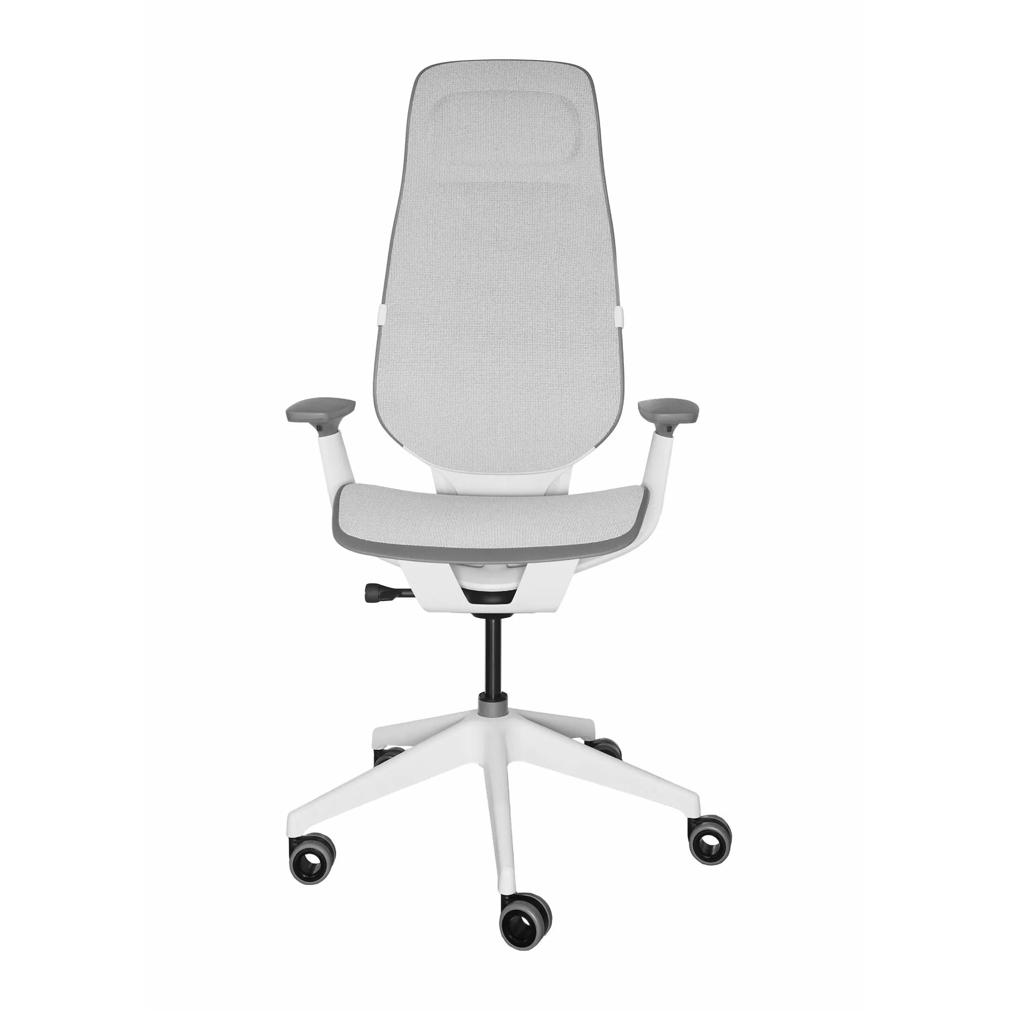 Seagull / Intermix Opaque Seagull / Seagull