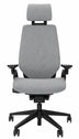 Steelcase Gesture Preventa