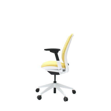Seagull / Canary / Seagull