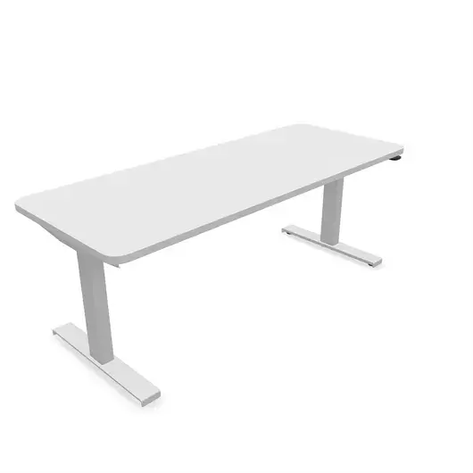 Steelcase Solo Sit-To-Stand Desk - Empleados Intel 24D X 60W (61Cm D 152.4Cm W) / Artic White Ash